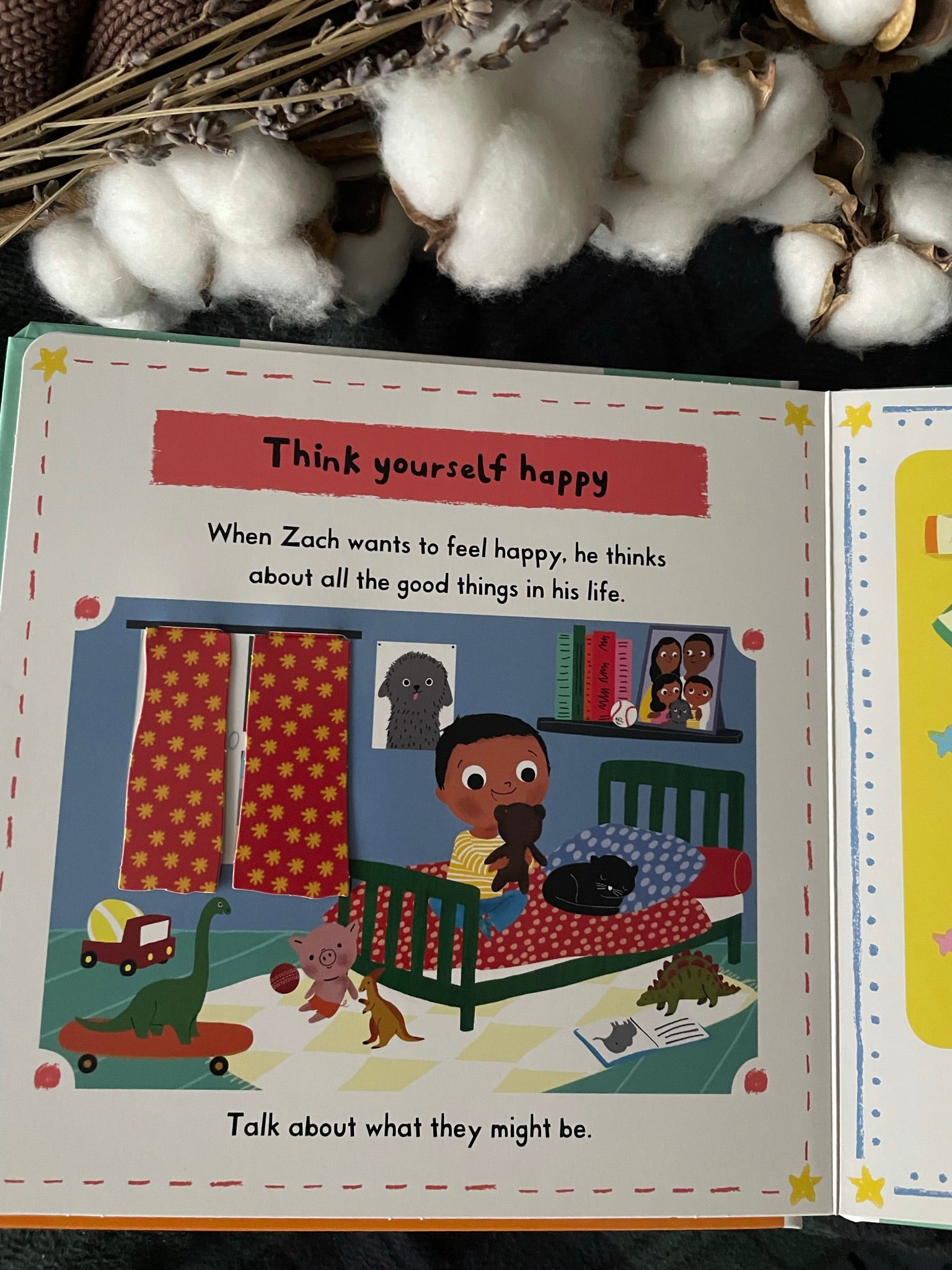 Little Big Feelings Book Series - Happyness