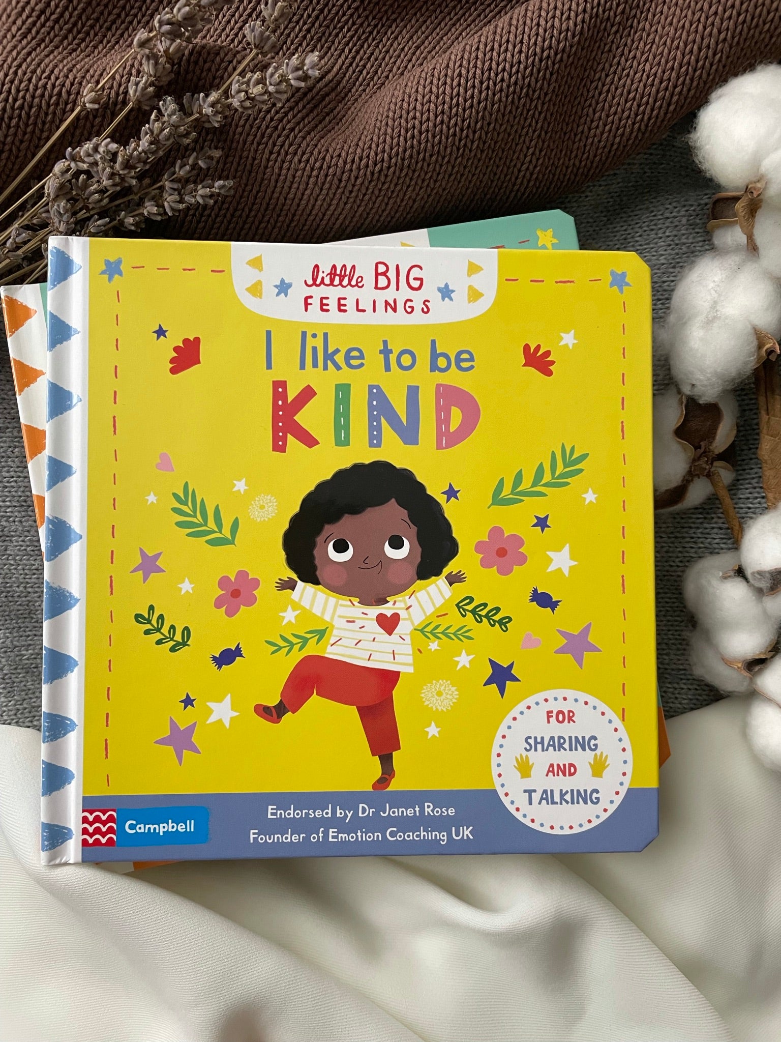 Little Big Feelings Book Series - Happyness