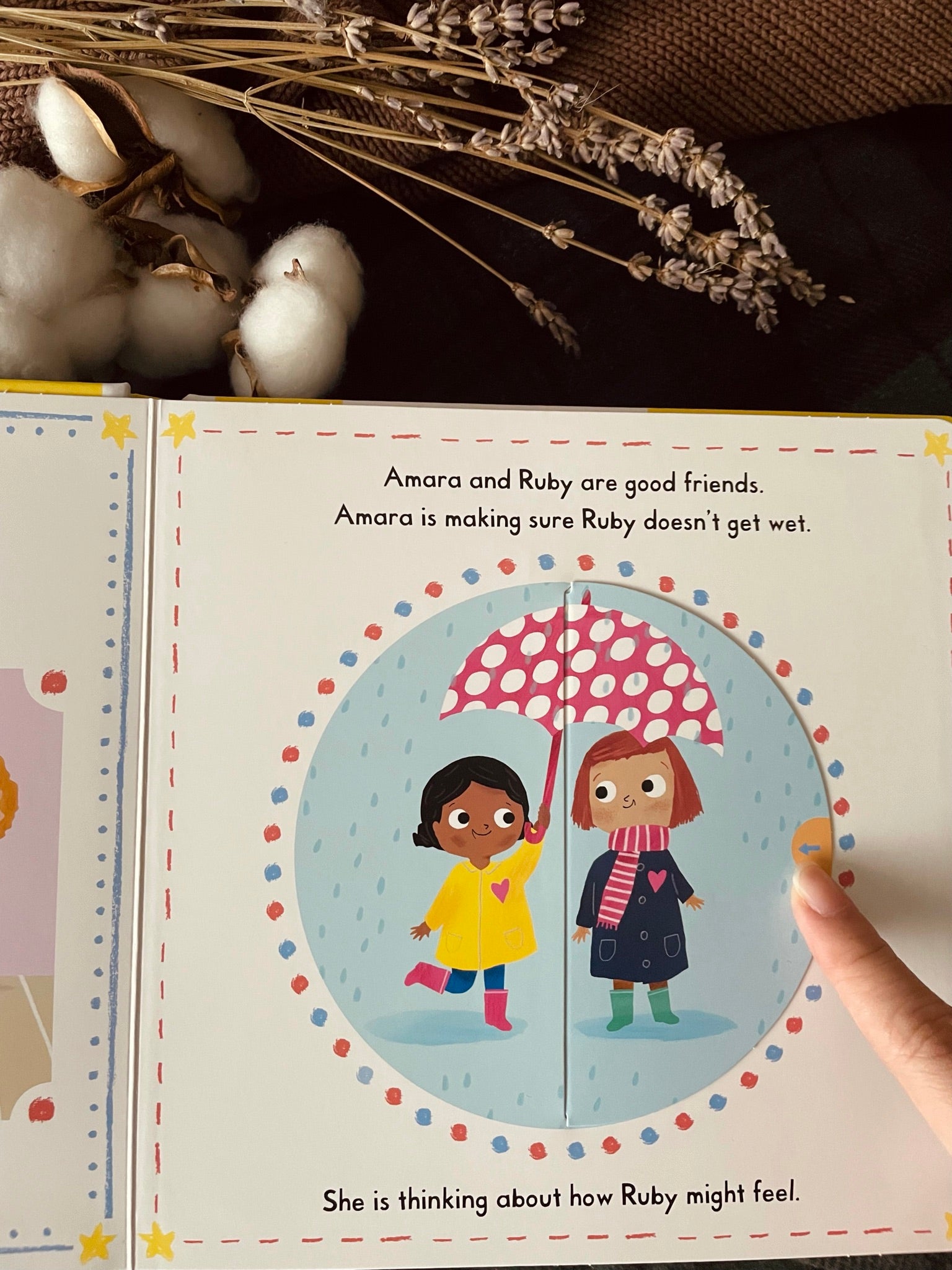 Little Big Feelings Book Series - Happyness