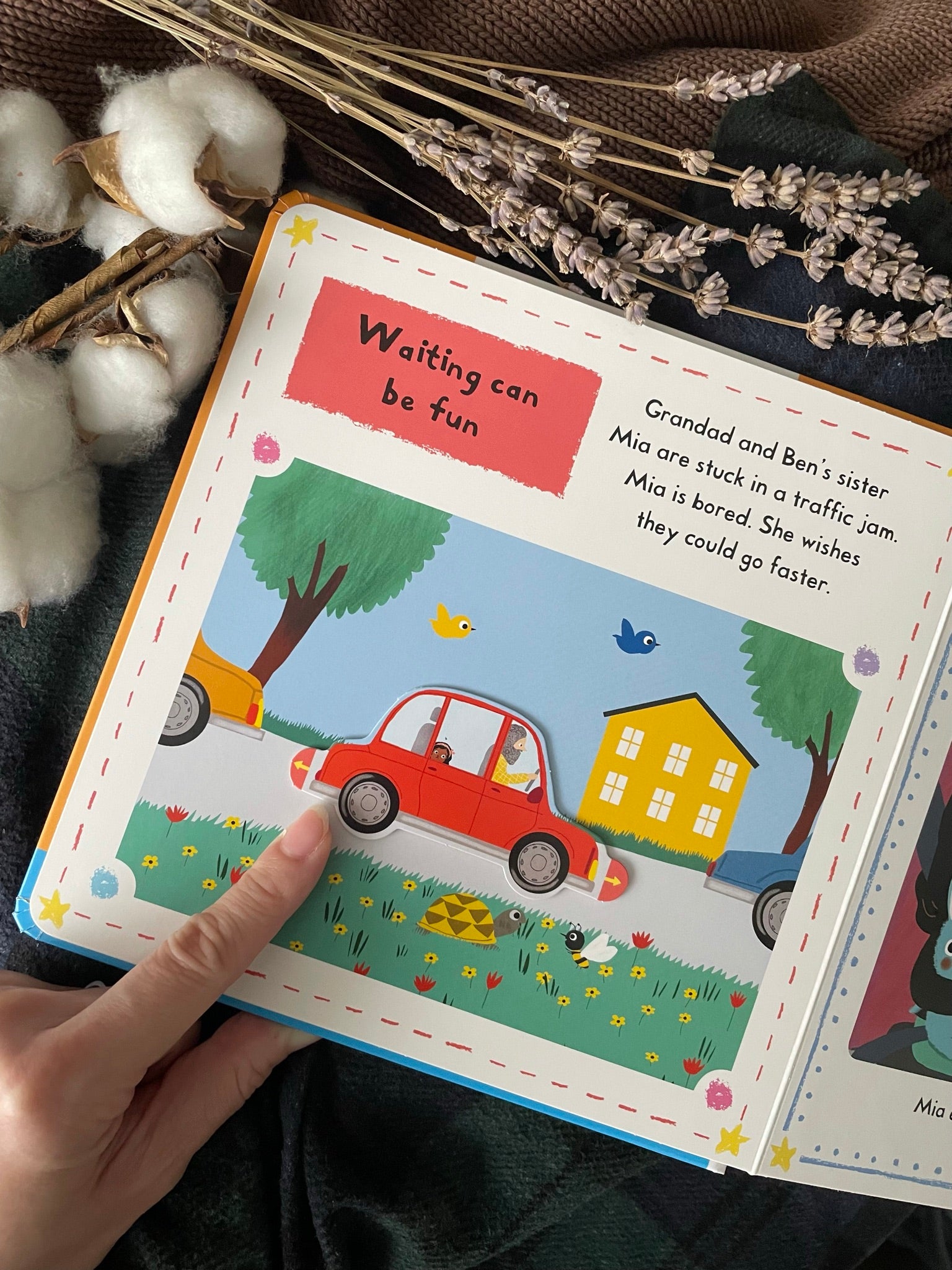 Little Big Feelings Book Series - Happyness
