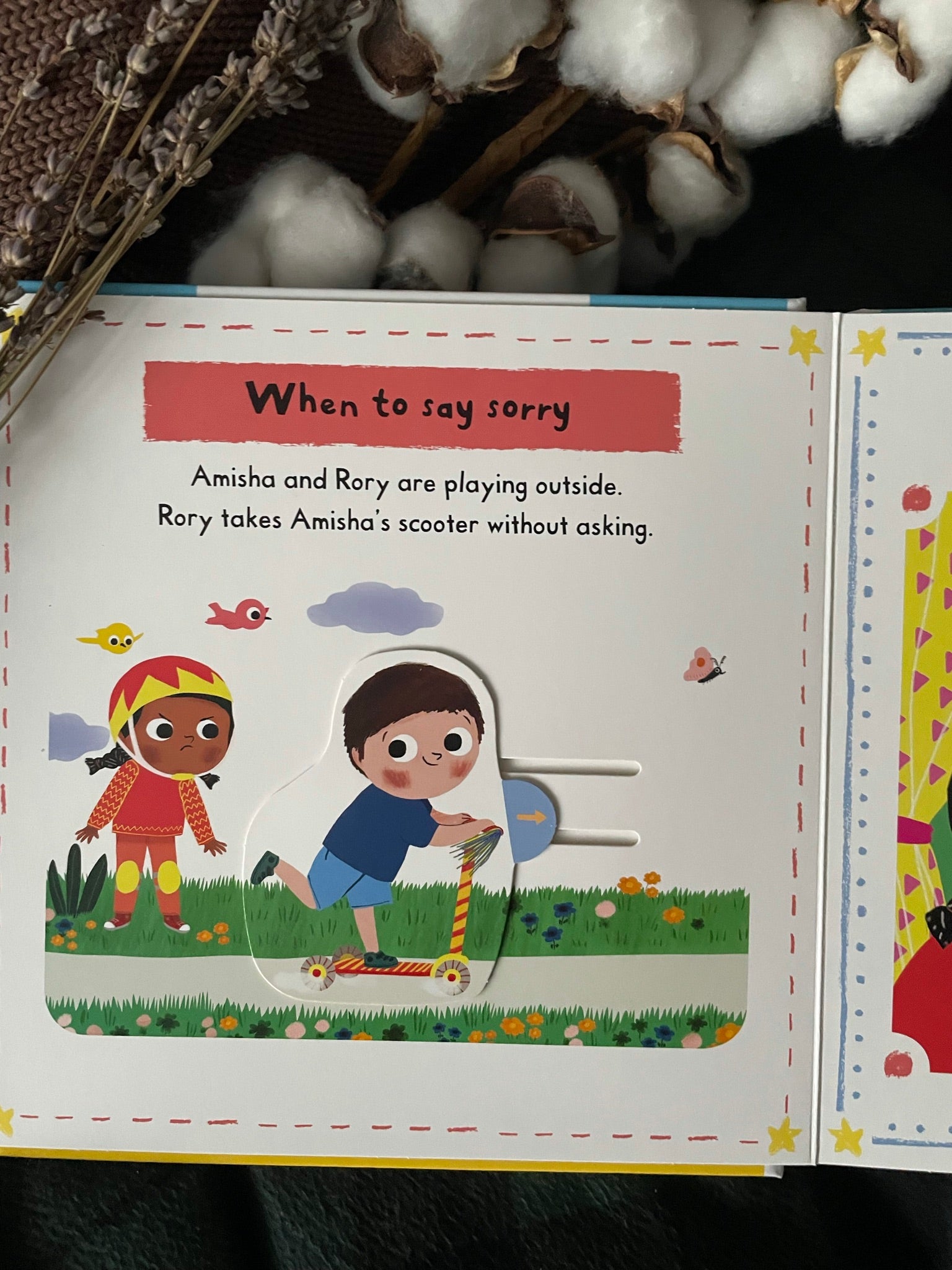 Little Big Feelings Book Series - Happyness