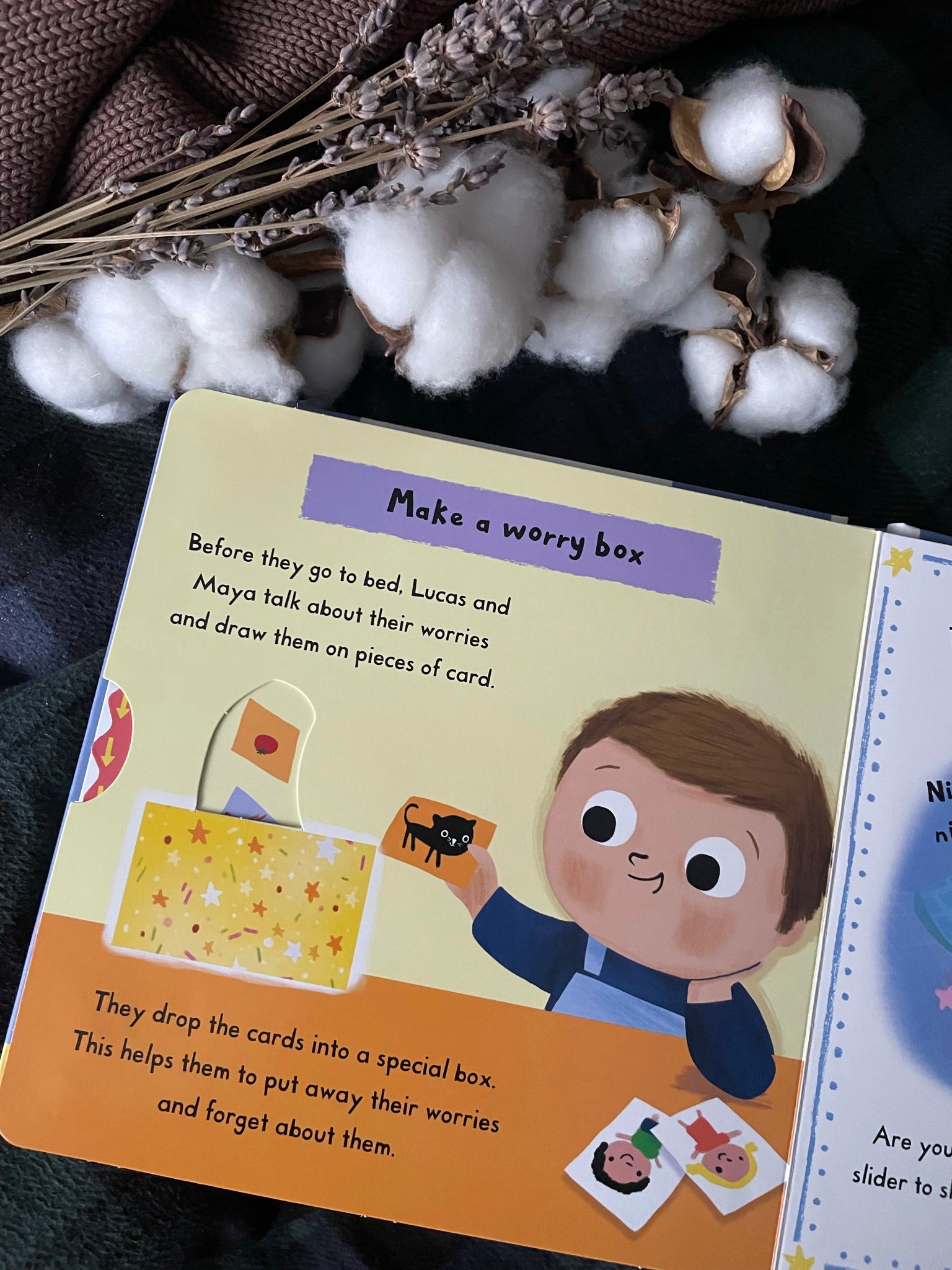 Little Big Feelings Book Series - Happyness